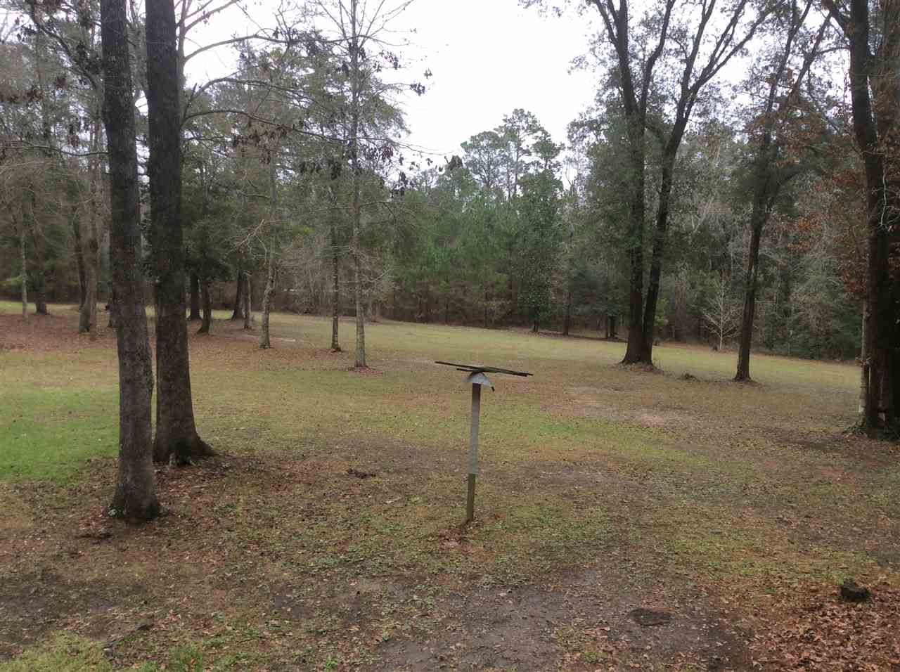 307 Frank Pais Road Havana, FL 32333 - Photo 20 of 21 Gallery Image 20