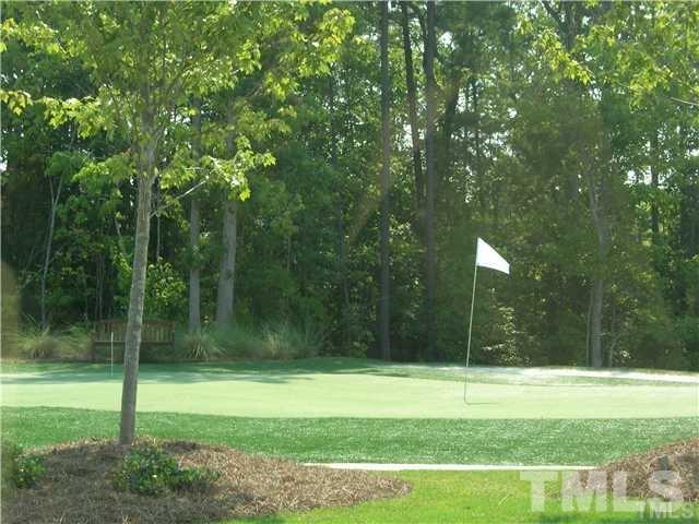 113 Beckingham Loop Cary, NC 27519 - Photo 44 of 46 a view of a park