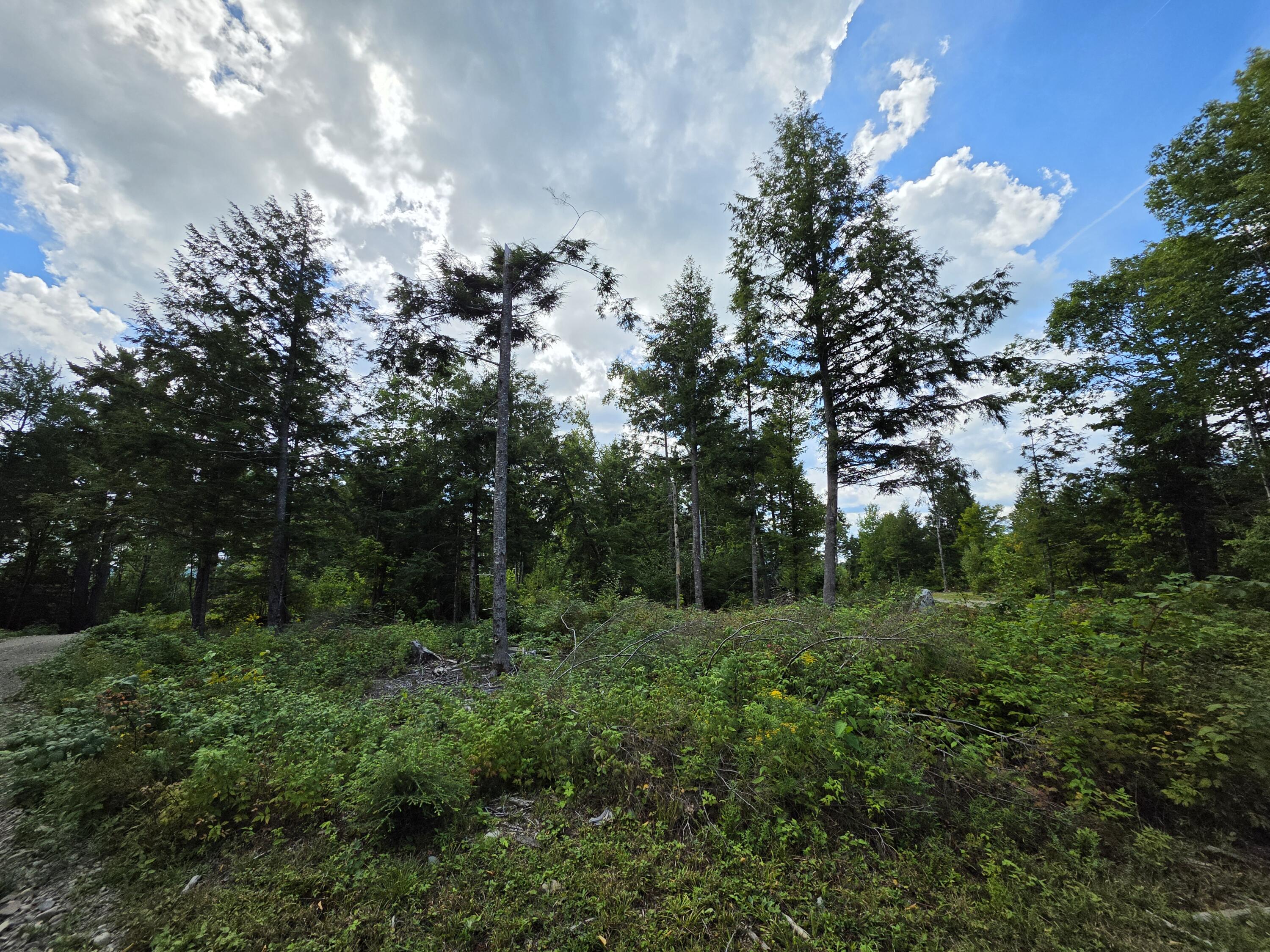 Lot 12 Meadow Lane Road Lee, ME 04455 - Photo 31 of 35 20260827_130913
