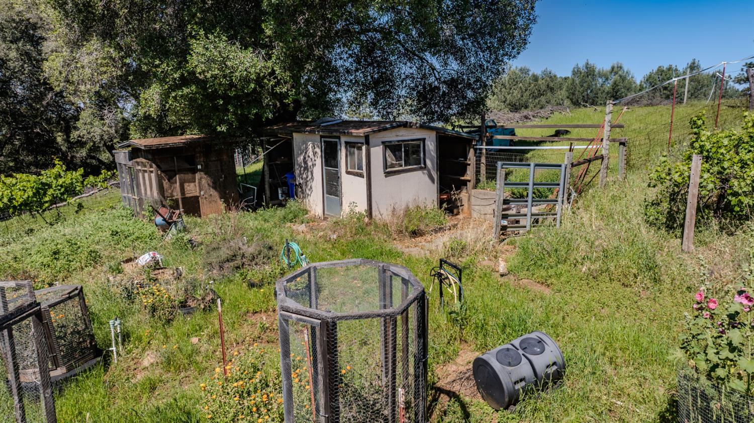 17800 Red Mule Road Fiddletown, CA 95629 - Photo 39 of 74 a backyard of a house with table and chairs potted plants and large tree