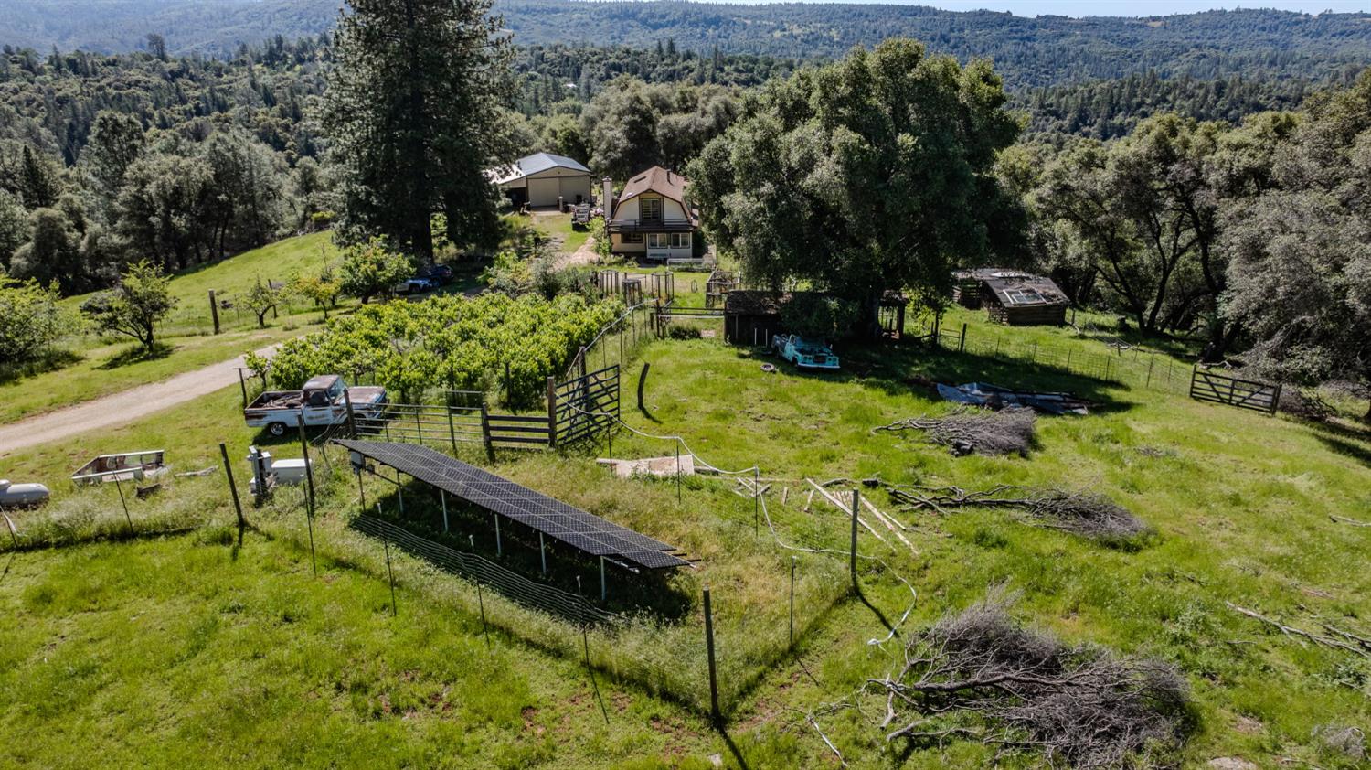 17800 Red Mule Road Fiddletown, CA 95629 - Photo 4 of 74