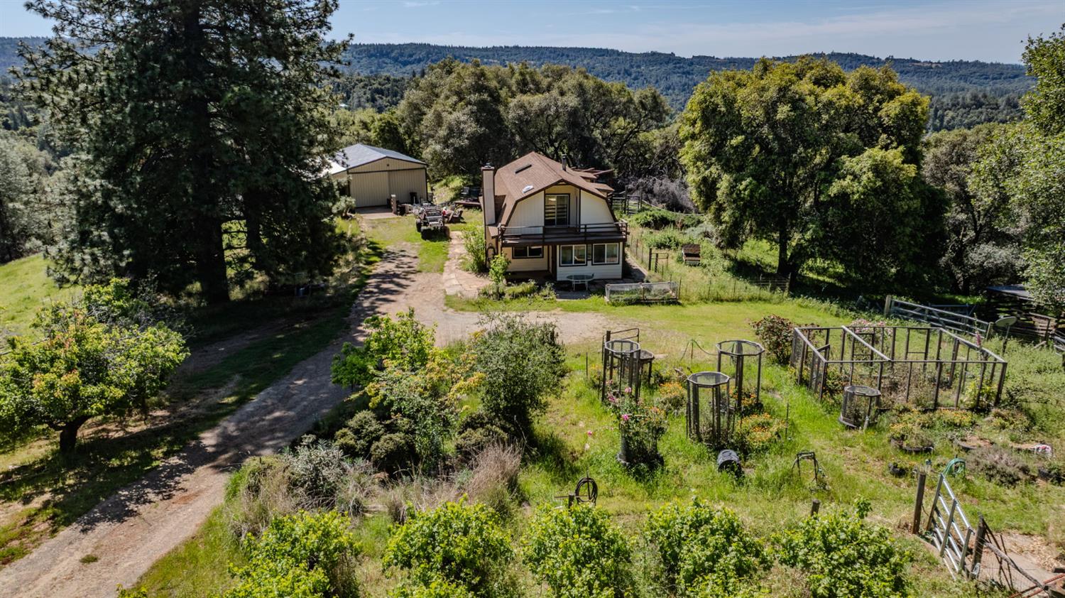 17800 Red Mule Road Fiddletown, CA 95629 - Photo 48 of 74 a view of a house with a big yard and large trees