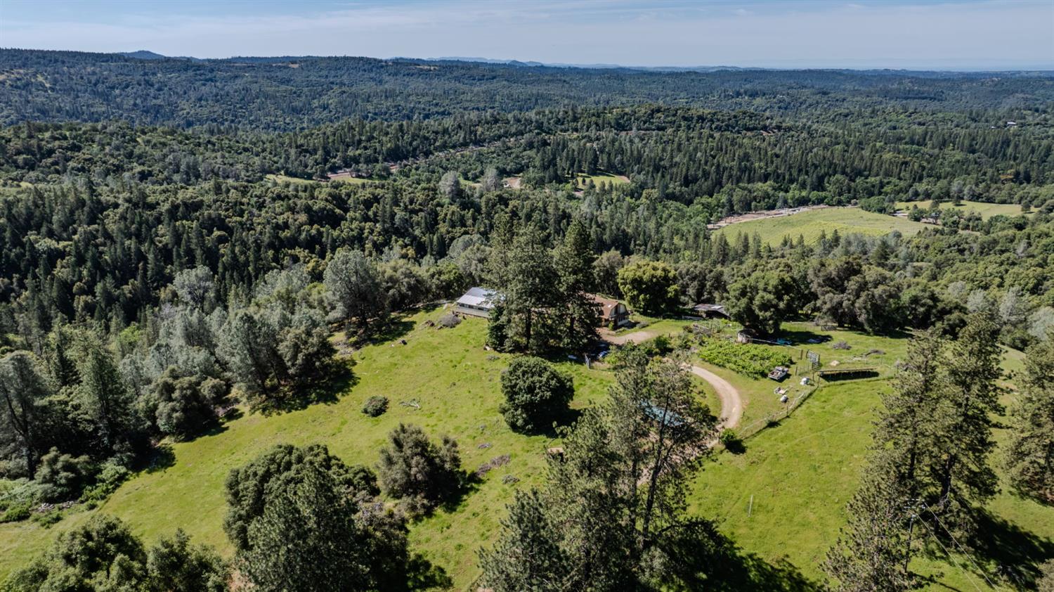 17800 Red Mule Road Fiddletown, CA 95629 - Photo 53 of 74 a view of a lush green forest with trees in the background
