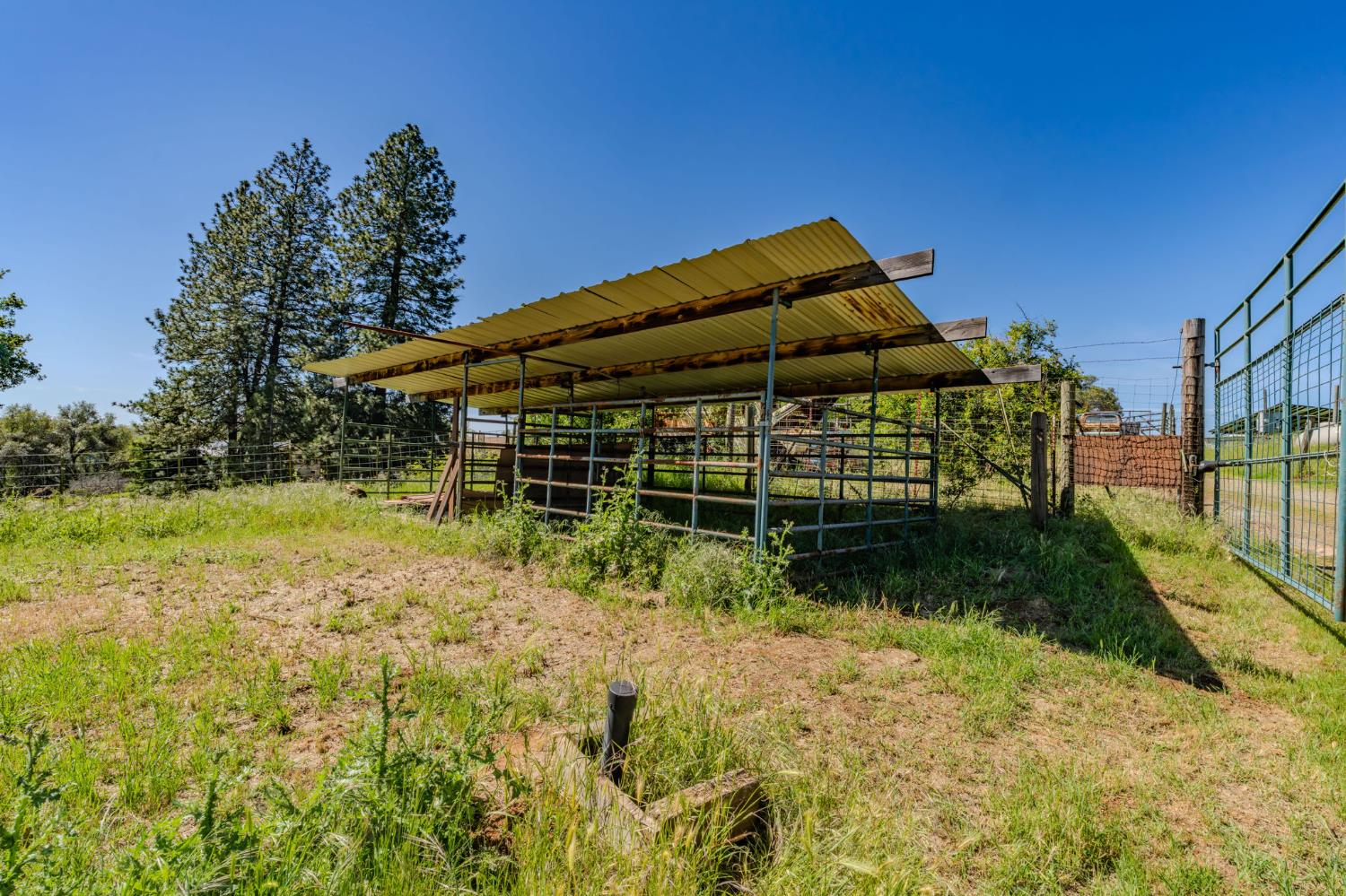 17800 Red Mule Road Fiddletown, CA 95629 - Photo 57 of 74 a backyard of a house with lots of green space