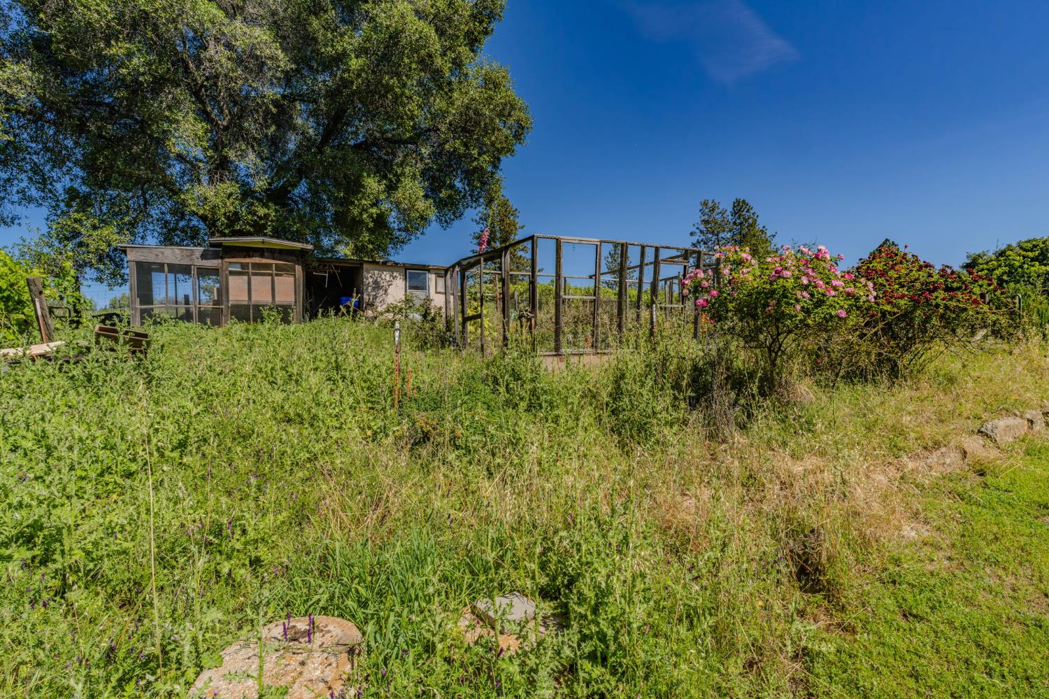 17800 Red Mule Road Fiddletown, CA 95629 - Photo 67 of 74