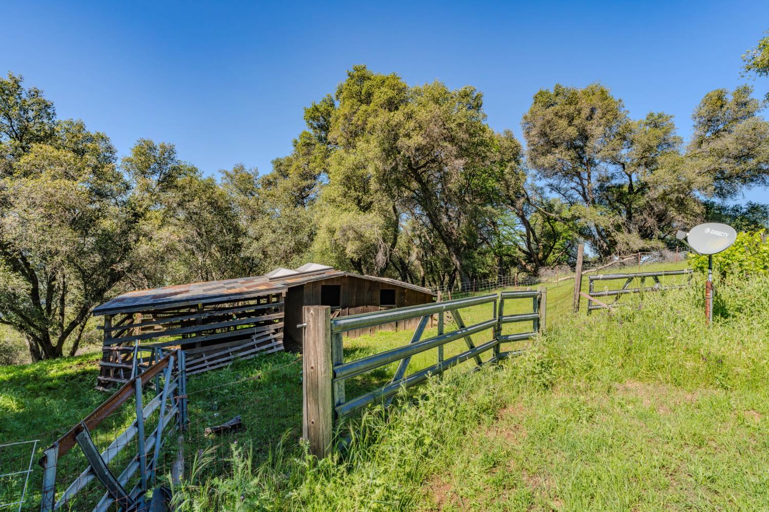17800 Red Mule Road Fiddletown, CA 95629 - Photo 68 of 74