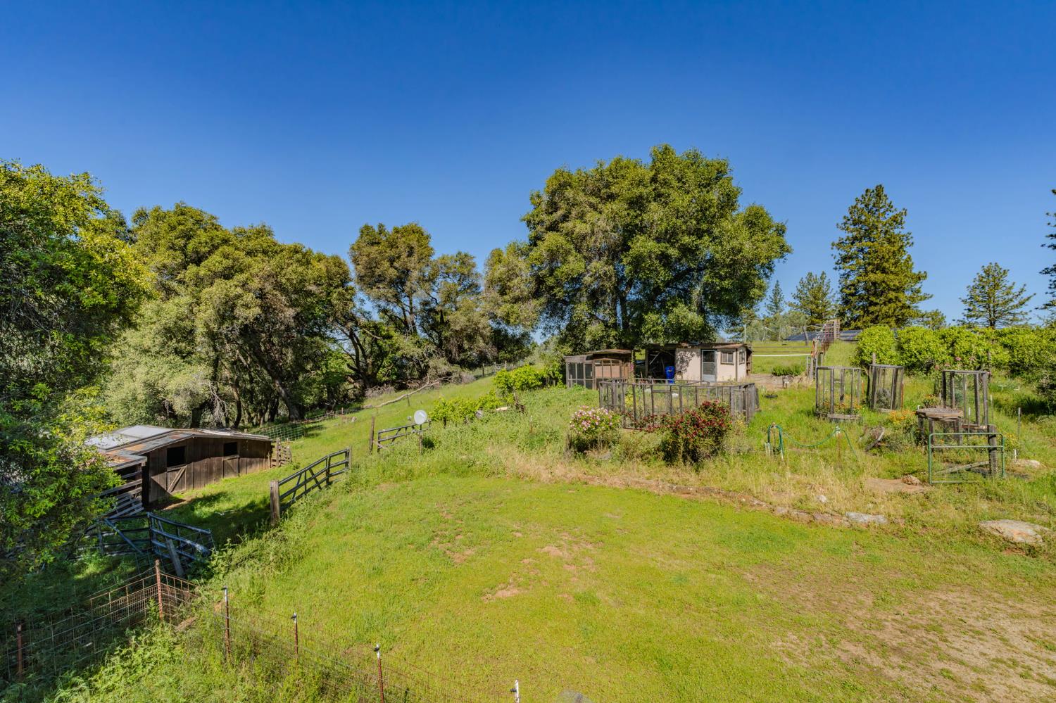 17800 Red Mule Road Fiddletown, CA 95629 - Photo 69 of 74