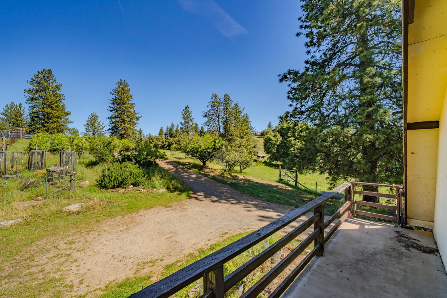 17800 Red Mule Road Fiddletown, CA 95629 - Photo 70 of 74 a view of a yard with plants