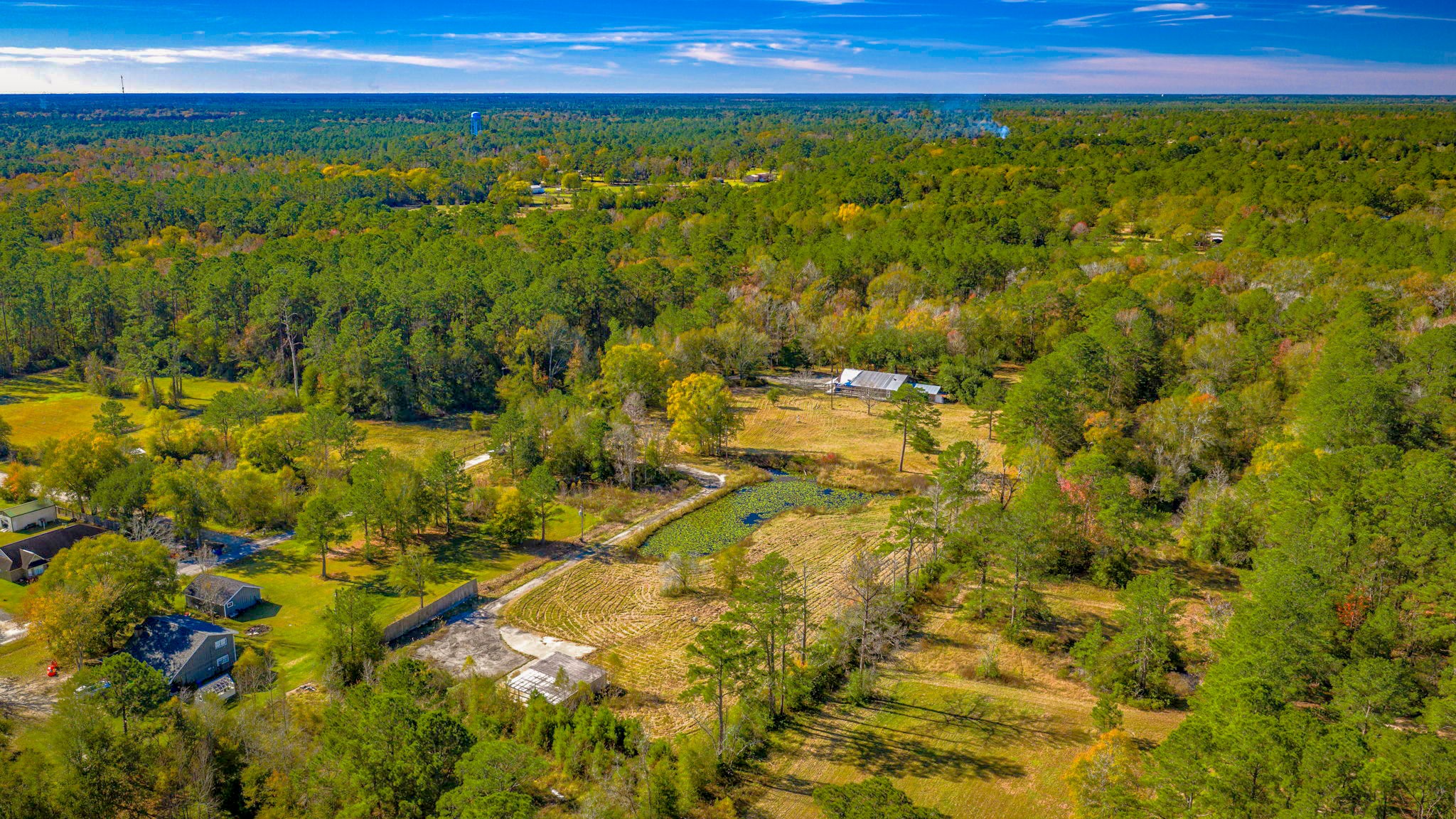Welcome to Ireland Lane! Set on 7+ acres in Silsbee, Tx.
