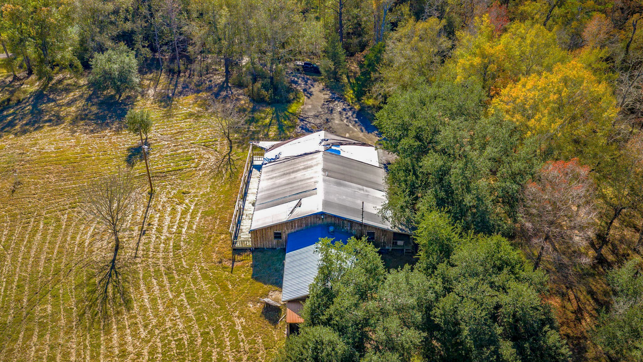 7101 Ireland Road Silsbee, TX 77656 - Photo 22 of 39