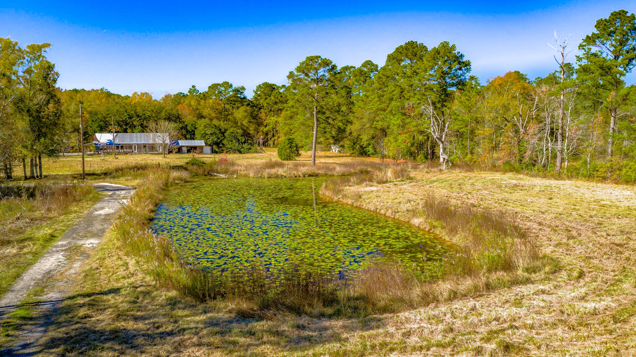 7101 Ireland Road Silsbee, TX 77656 - Photo 32 of 39