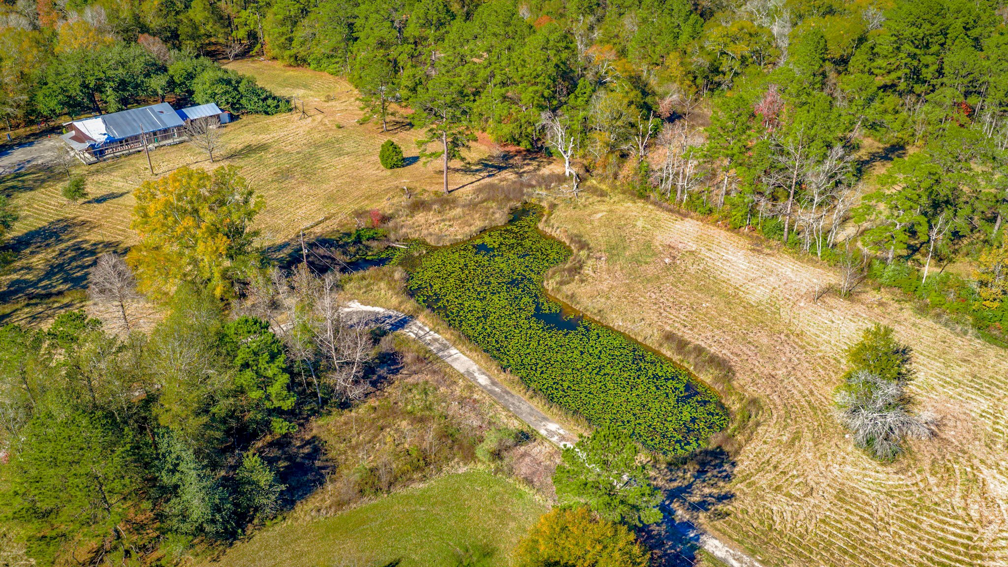 7101 Ireland Road Silsbee, TX 77656 - Photo 34 of 39