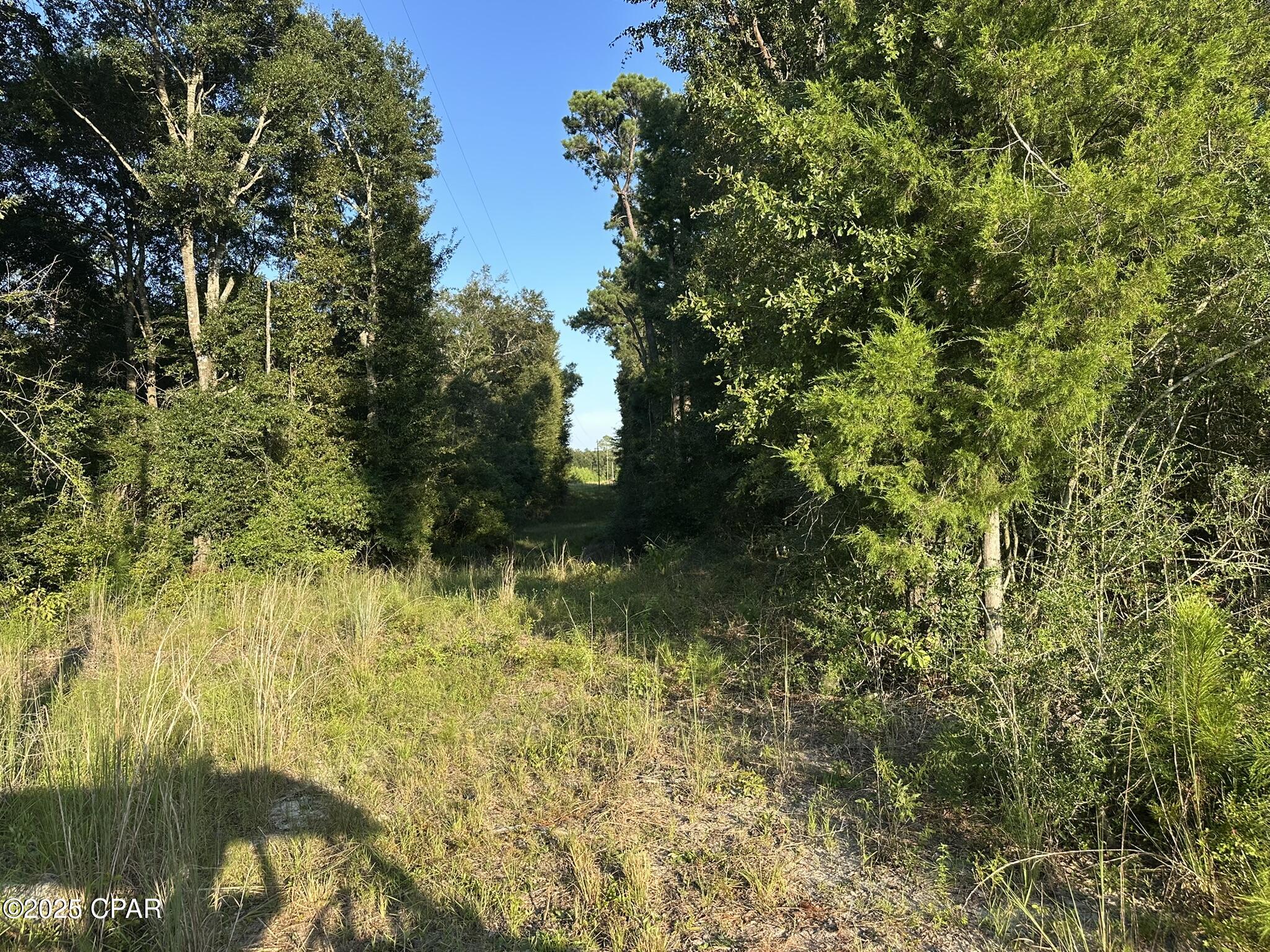 Tract#6201 Doyle Morgan Road DeFuniak Springs, FL 32433 - Photo 20 of 39