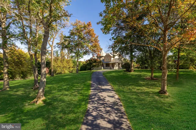 a view of a park with tree s