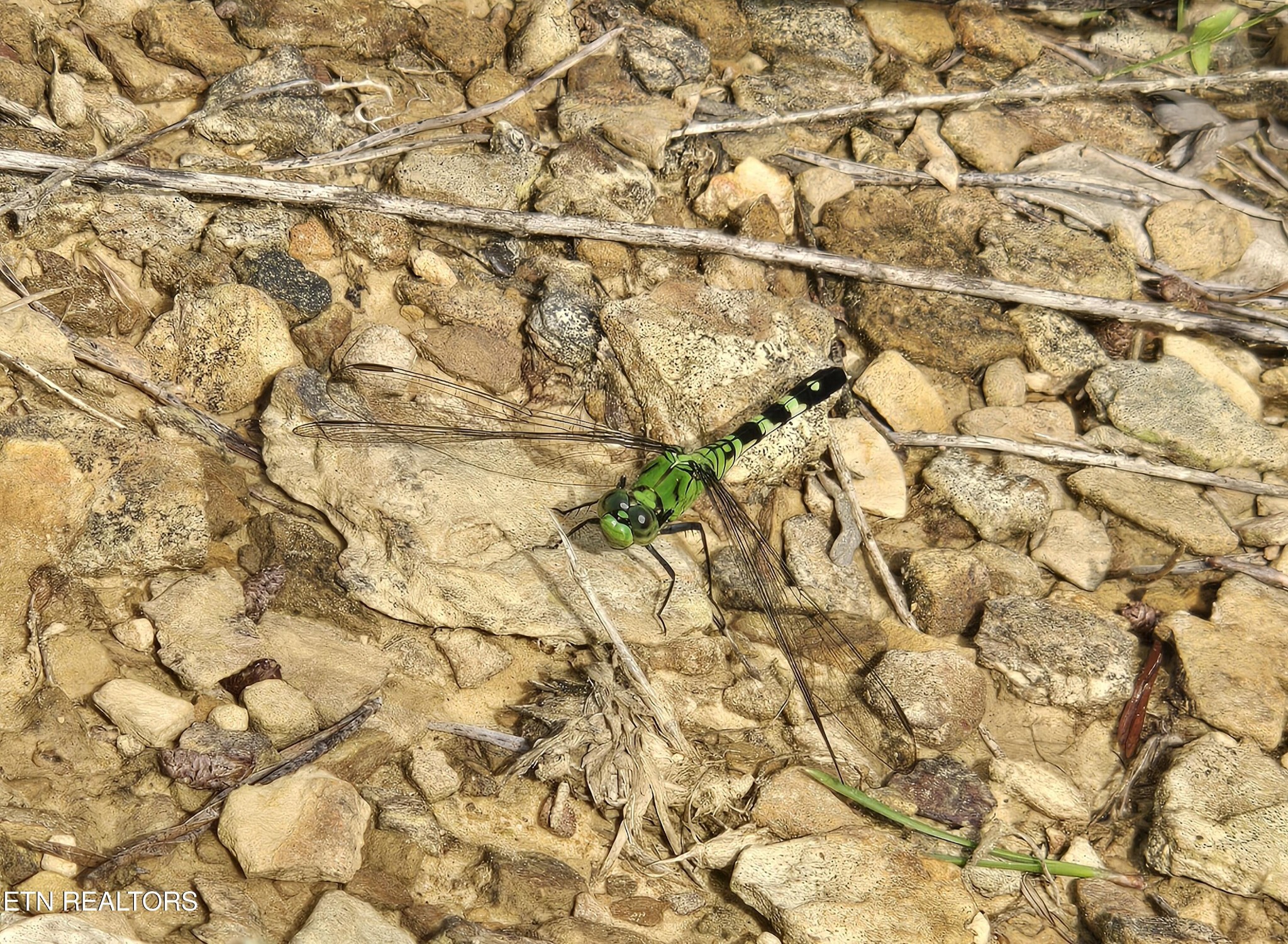 0 Grassy Knob Road Robbins, TN 37852 - Photo 20 of 25 Gallery Image 20