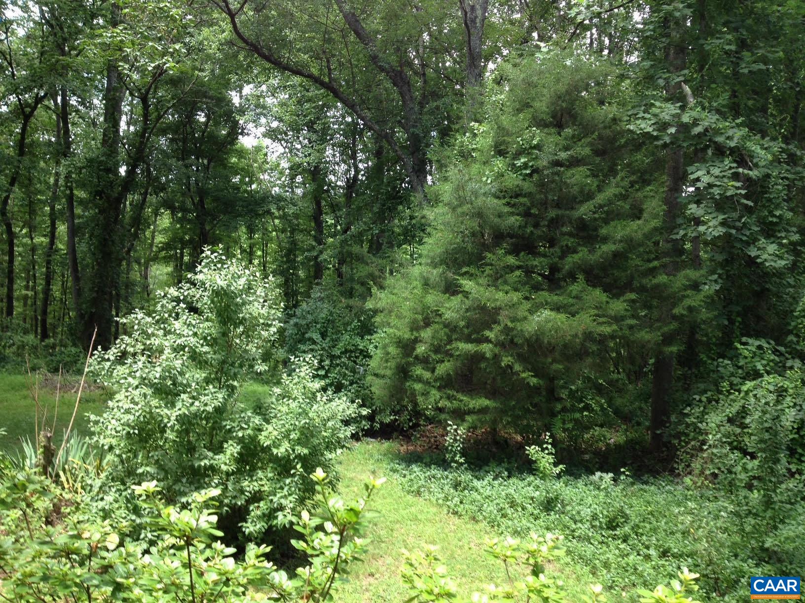 954 Old Lynchburg Road, Unit A Charlottesville, VA 22903 - Photo 43 of 44 a view of a lush green forest