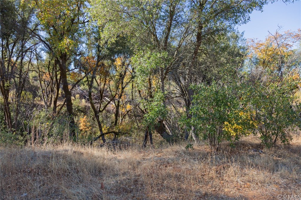 10719 Sheep Ranch Road Mountain Ranch, CA 95246 - Photo 1 of 1 Gallery Image 1