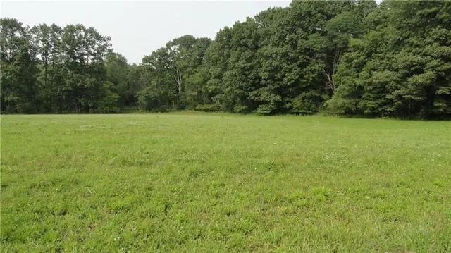 a view of field with trees in the background