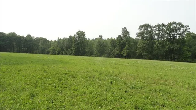 a view of a field with trees in the background