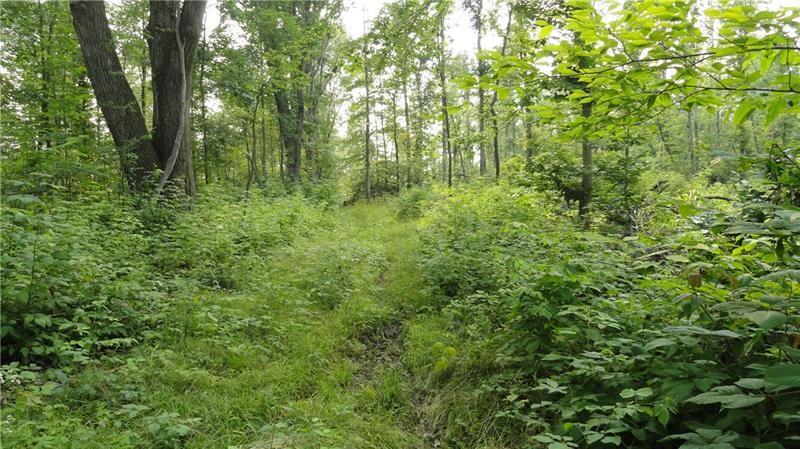 --- Pink Road Slippery Rock, PA 16057 - Photo 6 of 7 a view of outdoor space and trees