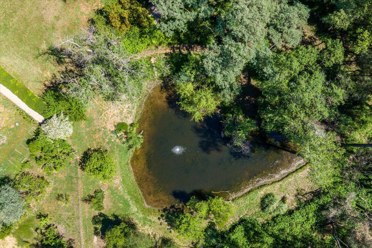 4539 Rattlesnake Bar Road Pilot Hill, CA 95664 - Photo 49 of 82