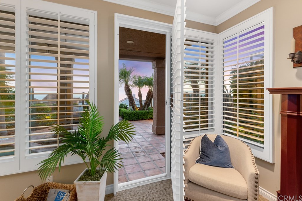 17 St Francis Court Dana Point, CA 92629 - Photo 40 of 66 a living room with furniture and a potted plant