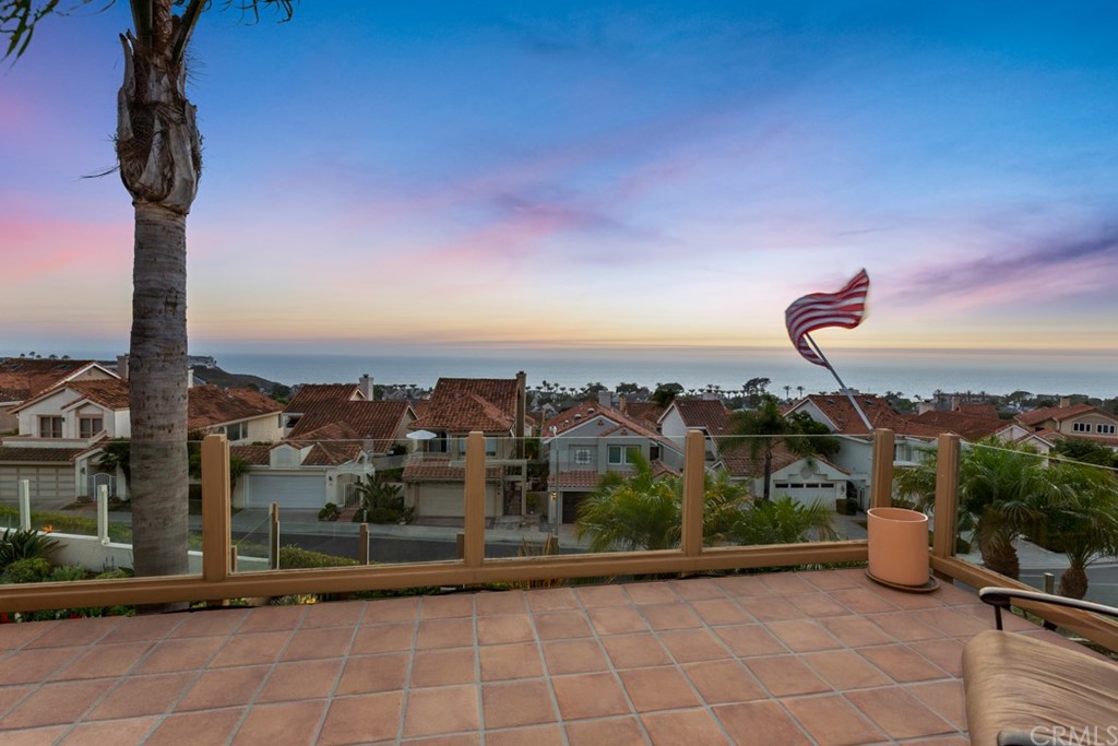 17 St Francis Court Dana Point, CA 92629 - Photo 57 of 66 a city view with tall buildings
