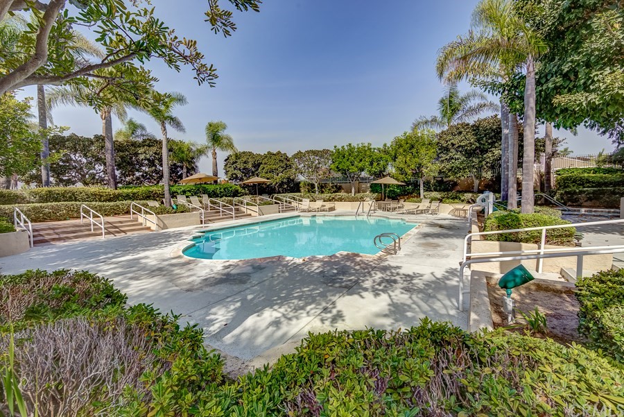 17 St Francis Court Dana Point, CA 92629 - Photo 60 of 66 a view of a yard with swimming pool