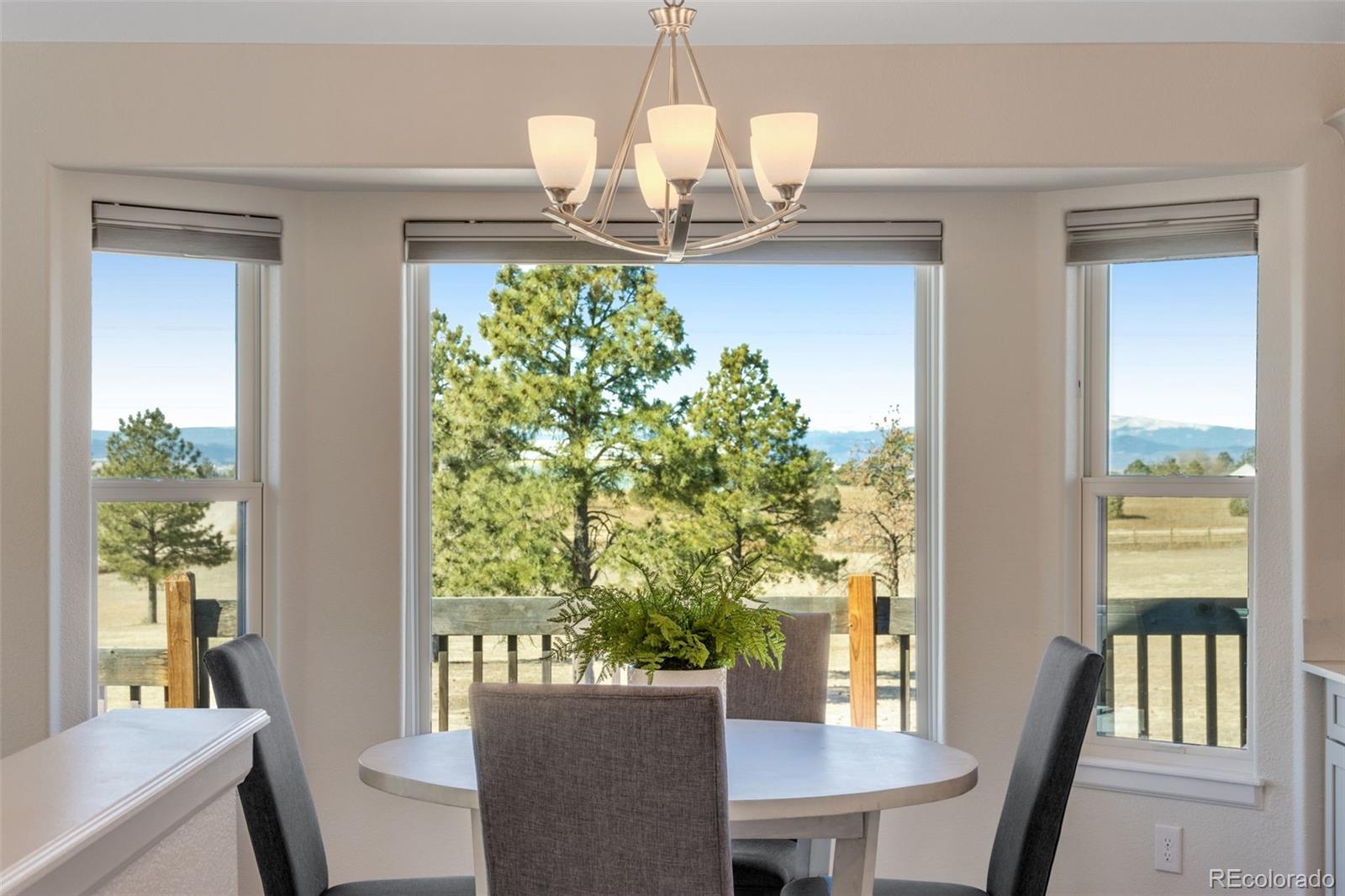 8025 North Saguaro Ridge Road Parker, CO 80138 - Photo 7 of 30