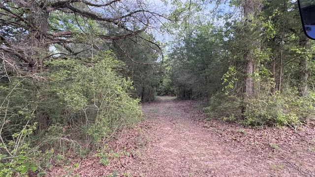 a view of outdoor space with trees all around