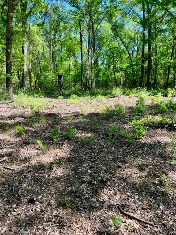a fire hydrant in the middle of a field