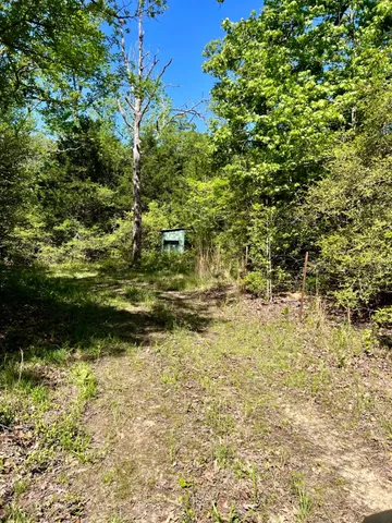 a view of a yard with a tree