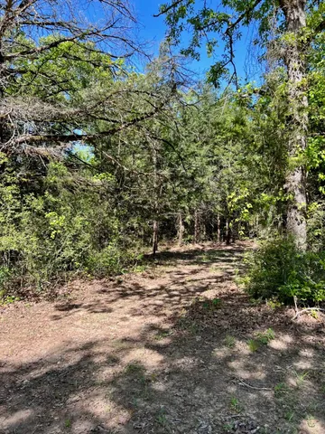 a big yard with lots of green space