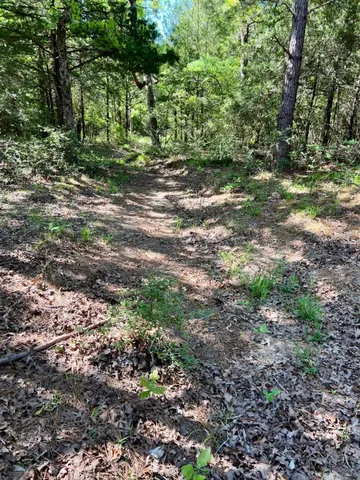 $399,999 | 8120 County Road 2761, Buffalo, TX 75831