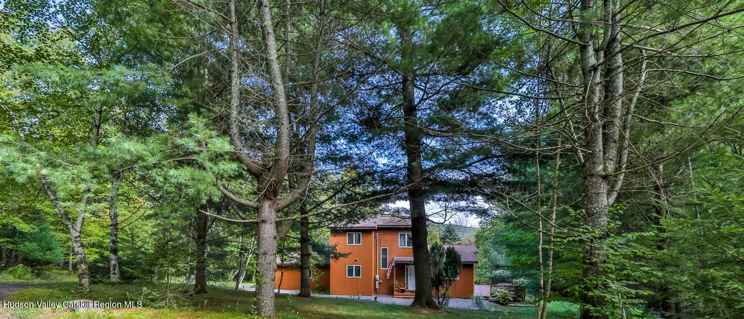 458 Begley Road Windham, NY 12496 - Photo 36 of 41 2V2A0872-Edt