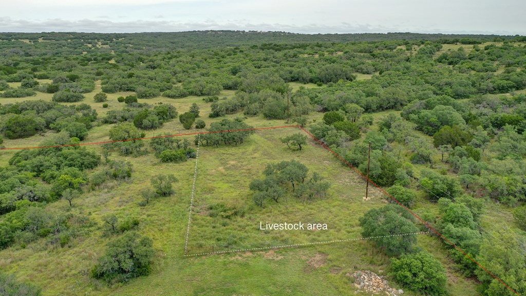 8177 Wendel Road Harper, TX 78631 - Photo 24 of 32 a view of a big yard