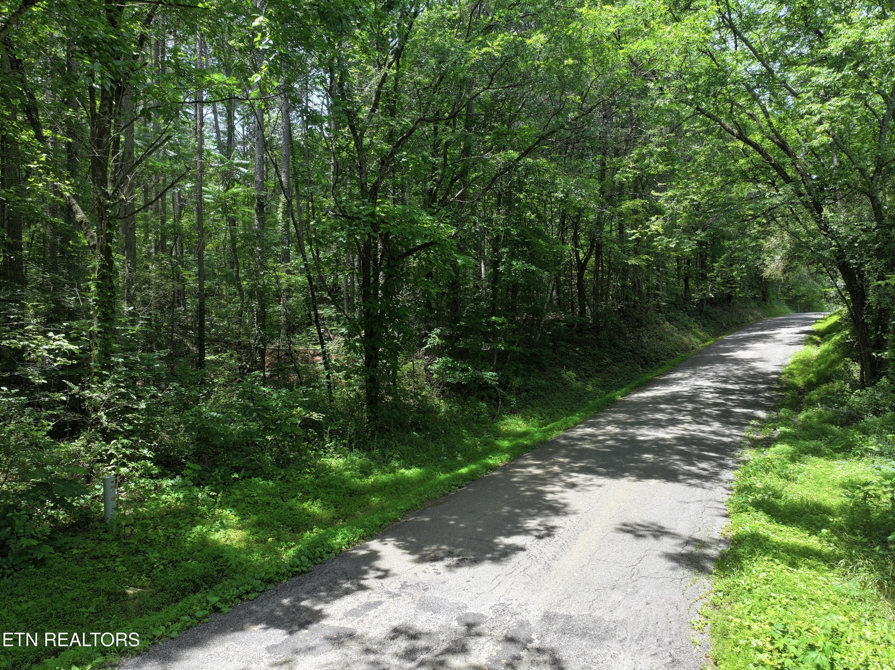 545 Ridge Road Madisonville, TN 37354 - Photo 3 of 7 dji_fly_20260622_055652_0755_17820945393