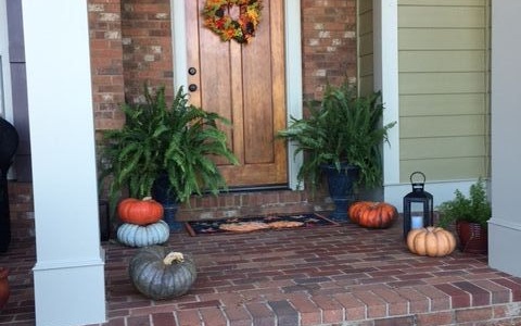 185 Ridgemont Lane Ellijay, GA 30536 - Photo 3 of 4 a view of a backyard with table and chairs potted plants