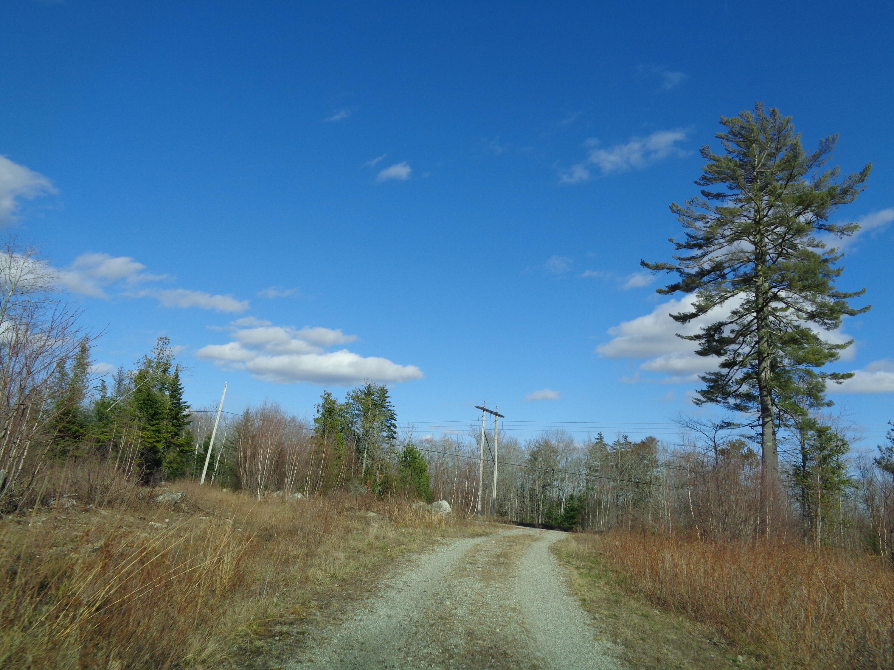 323 Moore Road Ellsworth, ME 04605 - Photo 3 of 28 View Towards Gary Moore Rd