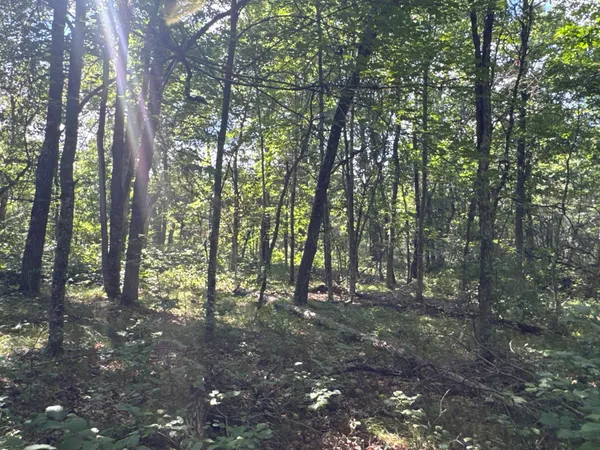 $395,000 | 29031 French Road, Oakland, WI 54830