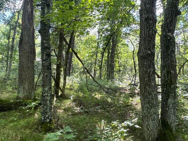 $395,000 | 29031 French Road, Oakland, WI 54830