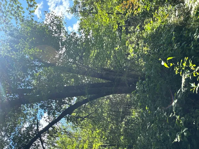 $395,000 | 29031 French Road, Oakland, WI 54830