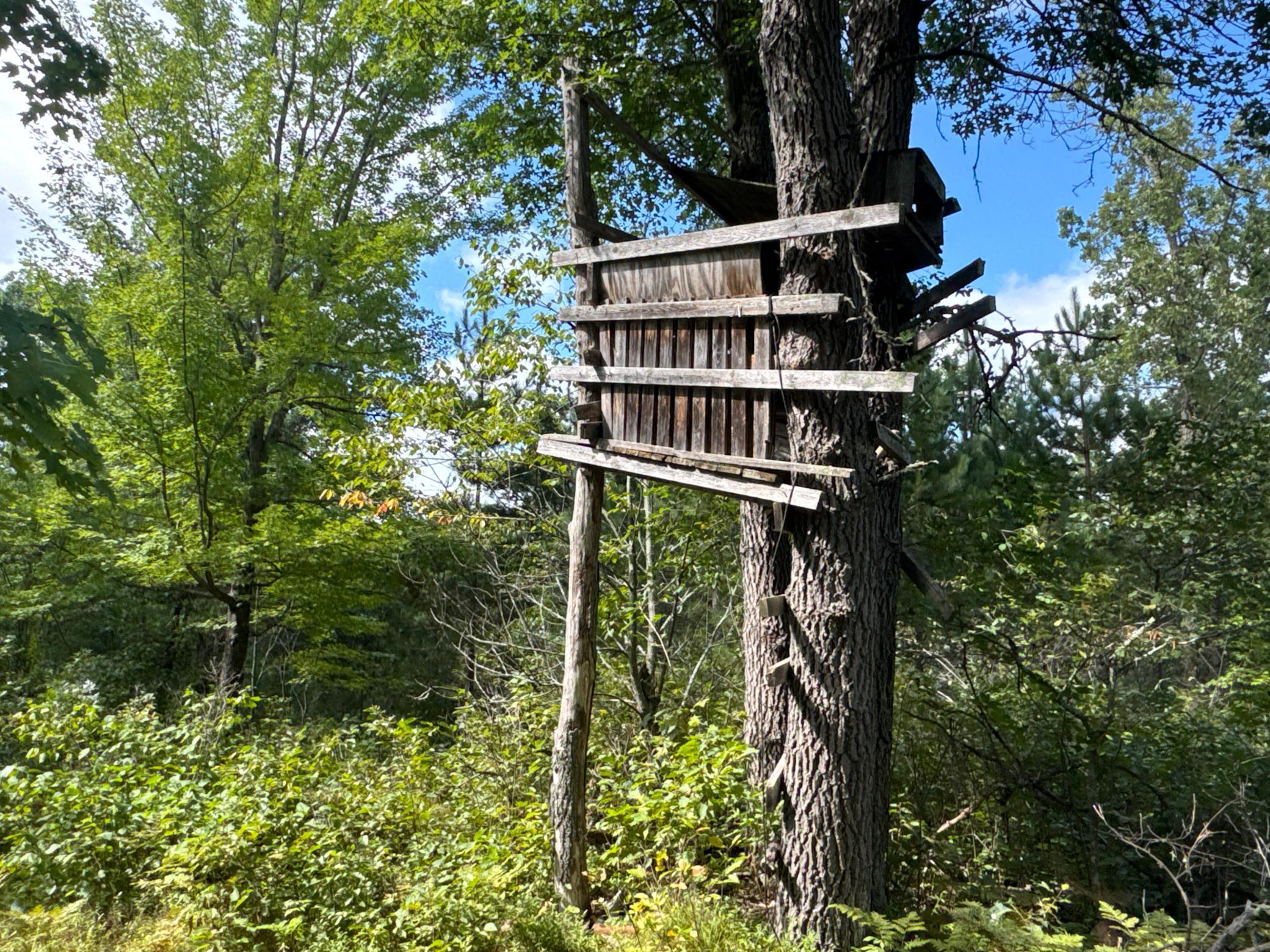 29031 French Road Oakland, WI 54830 - Photo 22 of 36