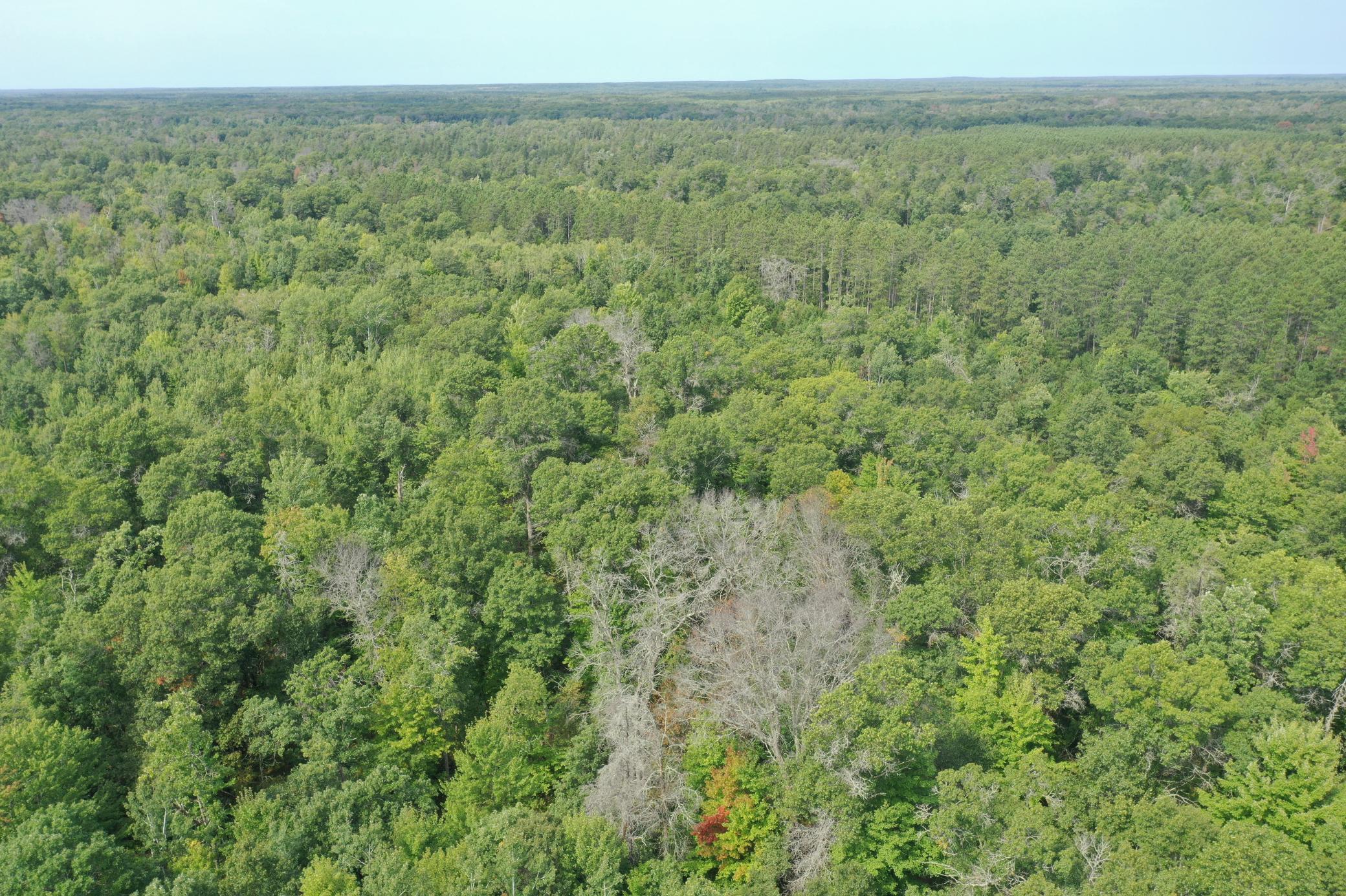 29031 French Road Oakland, WI 54830 - Photo 29 of 36