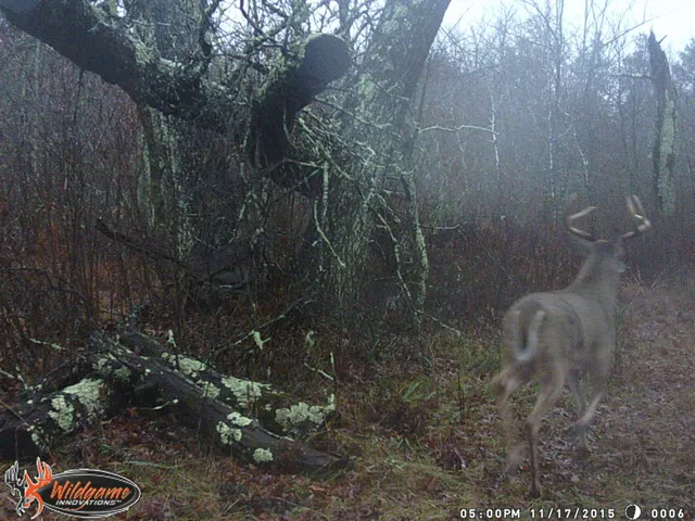 $395,000 | 29031 French Road, Oakland, WI 54830