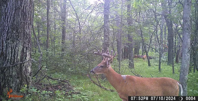 $395,000 | 29031 French Road, Oakland, WI 54830