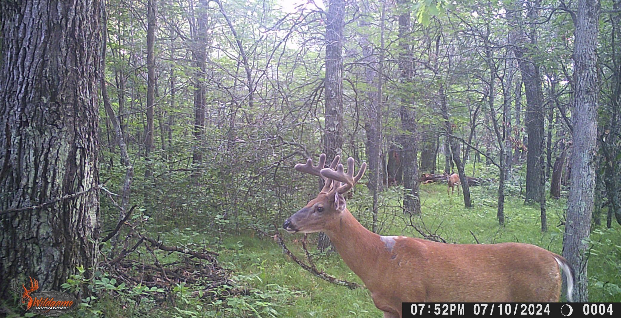 29031 French Road Oakland, WI 54830 - Photo 31 of 36
