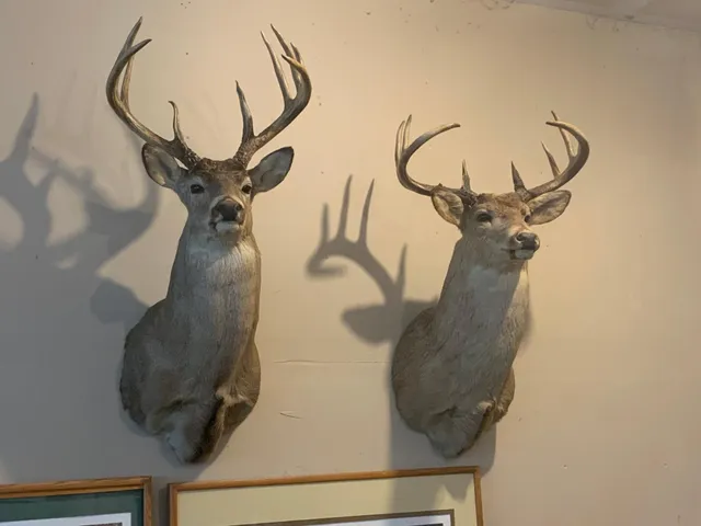 $395,000 | 29031 French Road, Oakland, WI 54830