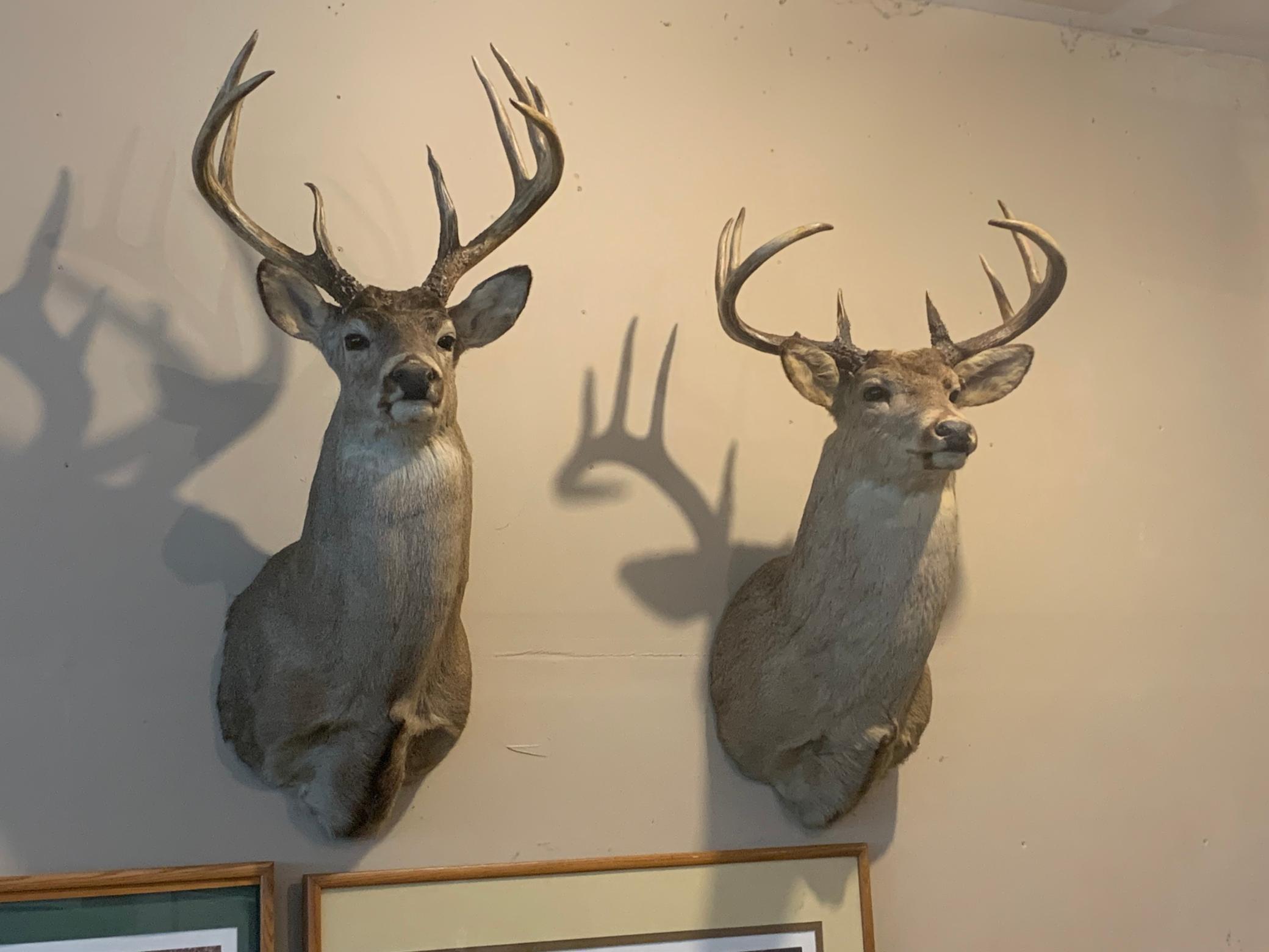 29031 French Road Oakland, WI 54830 - Photo 32 of 36