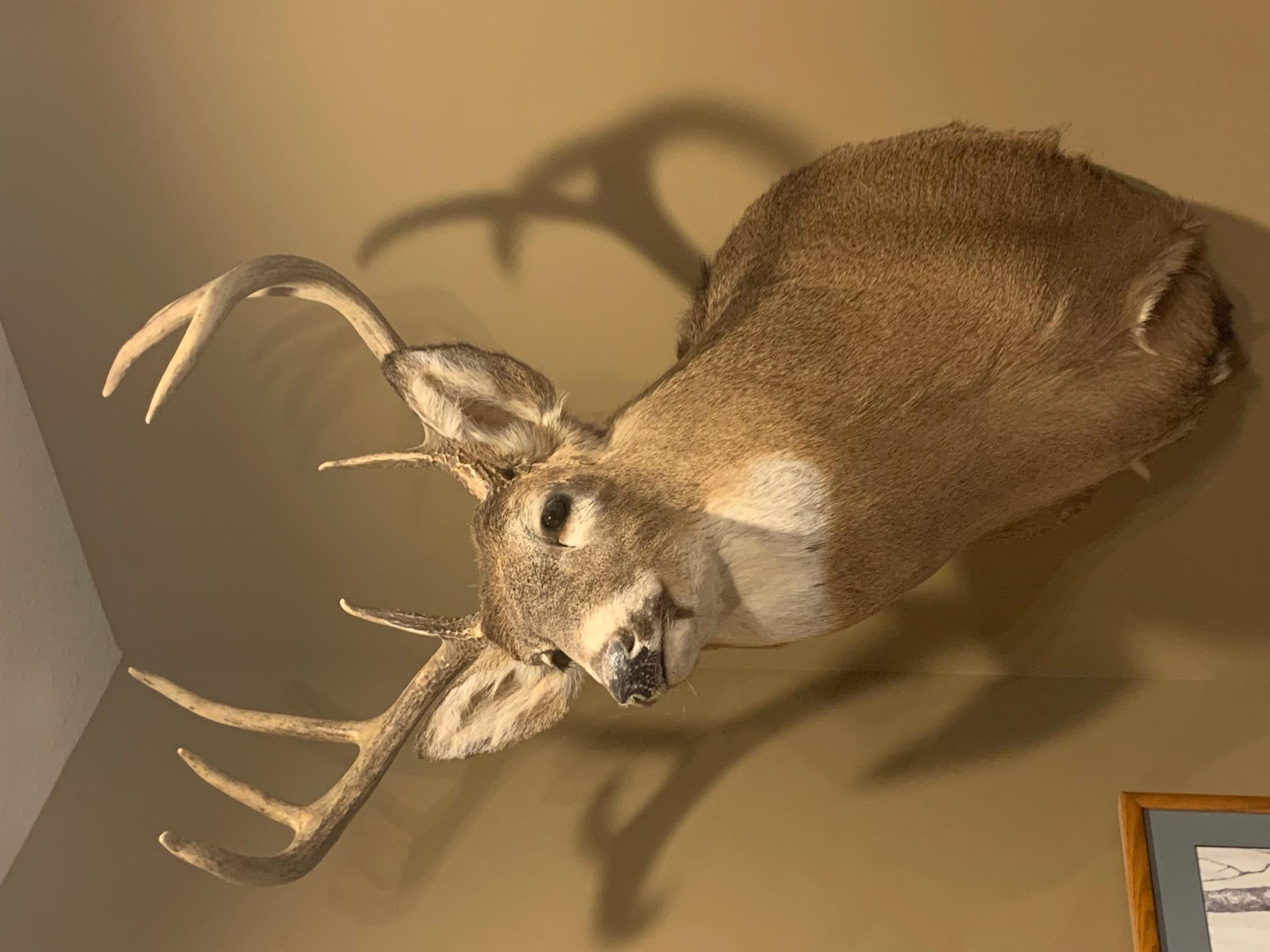 29031 French Road Oakland, WI 54830 - Photo 33 of 36